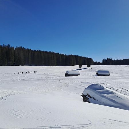 Villa Pokljuka Zgornje Gorje Exteriér fotografie