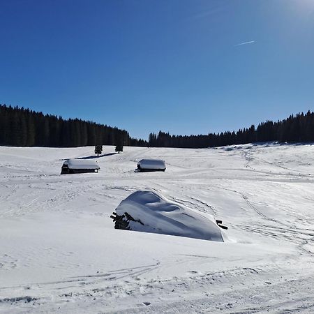 Villa Pokljuka Zgornje Gorje Exteriér fotografie