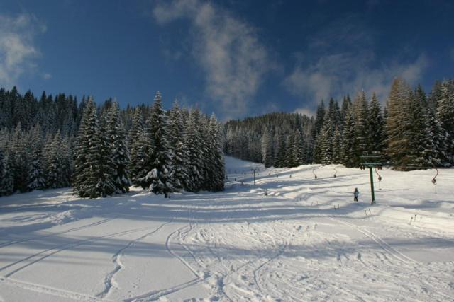 Villa Pokljuka Zgornje Gorje Exteriér fotografie