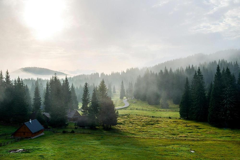 Villa Pokljuka Zgornje Gorje Exteriér fotografie