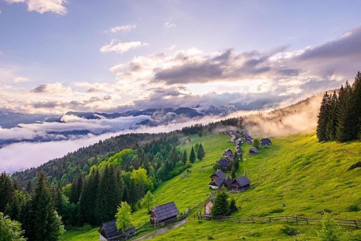 Villa Pokljuka Zgornje Gorje Exteriér fotografie