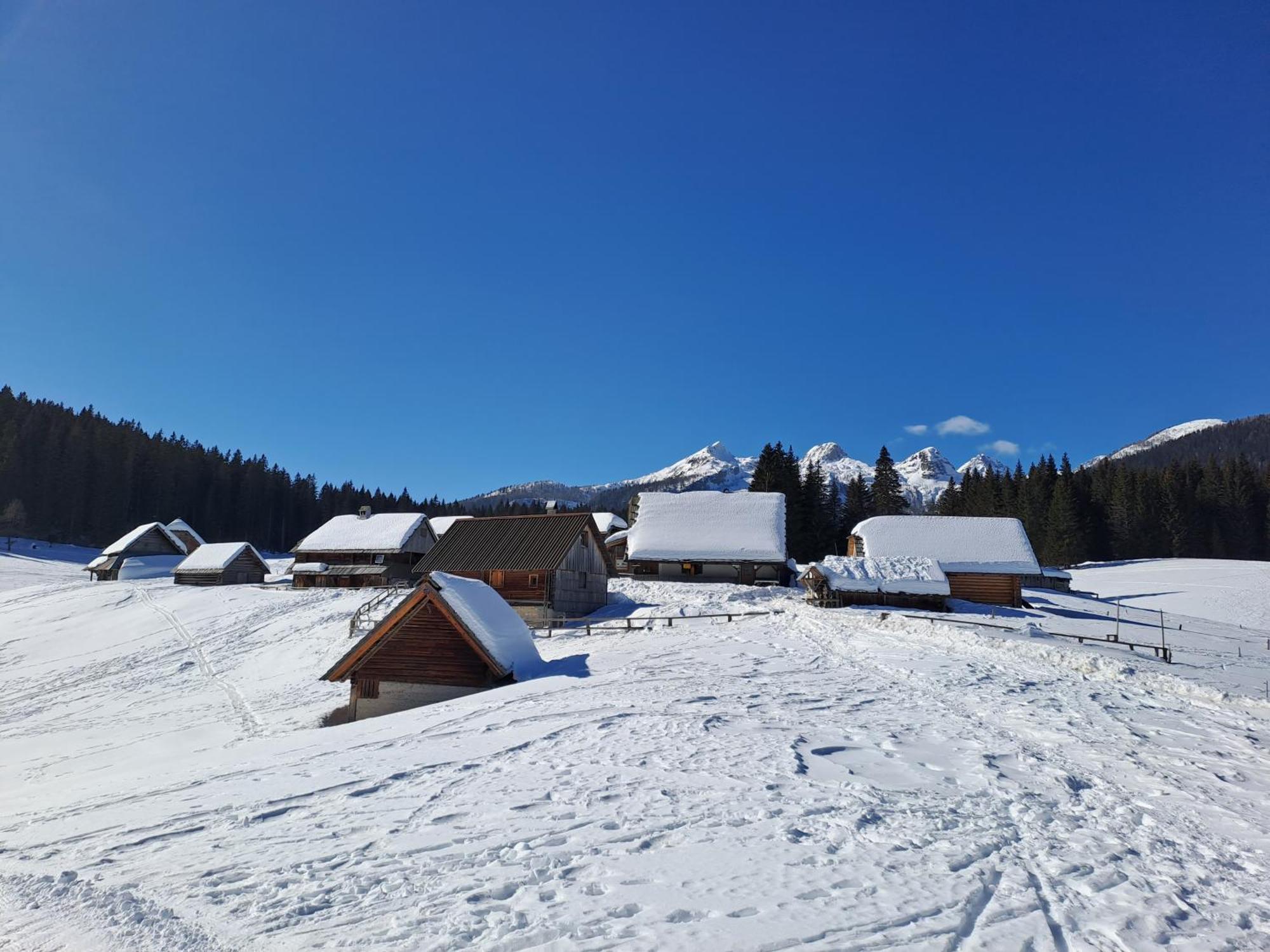Villa Pokljuka Zgornje Gorje Exteriér fotografie